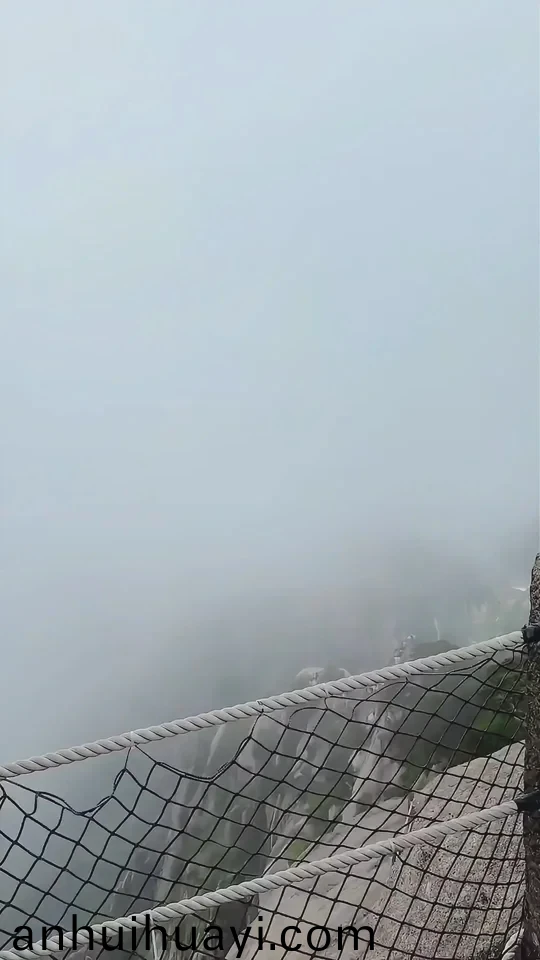 国产一区二区三区在线观看精品